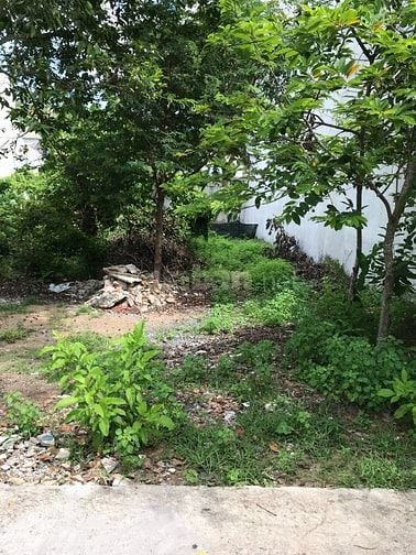 1,530ty/160m2 sổ riêng, thổ cư hẻm 1 xẹc ô tô, KDC đông