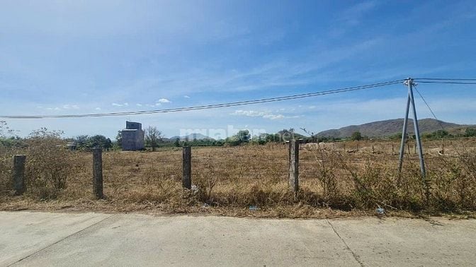 Bán 6000m2 đất vườn view hồ suối đá, mặt tiền đường liên xã