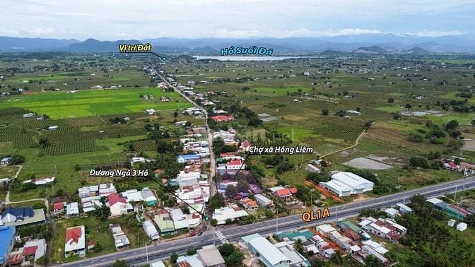 Bán 6000m2 đất vườn view hồ suối đá, mặt tiền đường liên xã