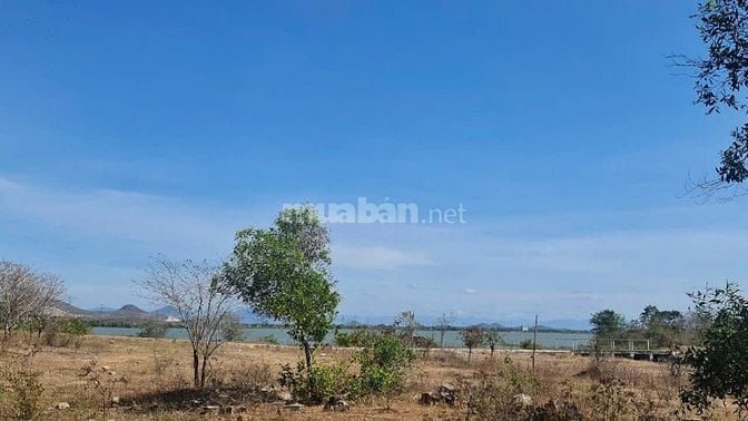 Bán 6000m2 đất vườn view hồ suối đá, mặt tiền đường liên xã