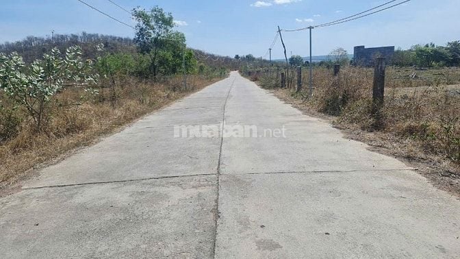 Bán 6000m2 đất vườn view hồ suối đá, mặt tiền đường liên xã