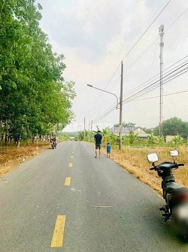 1250m2 sẵn 100m thổ cư View Suối mặt tiền đường nhựa giá 345tr