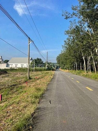 1250m2 sẵn 100m thổ cư View Suối mặt tiền đường nhựa giá 345tr