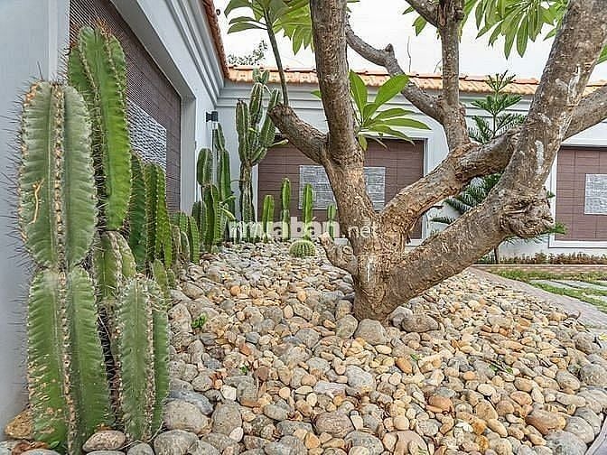 CẦN BÁN GẤP VILLA CAO CẤP SÁT BIỂN MŨI NÉ, PHAN THIẾT, BÌNH THUẬN