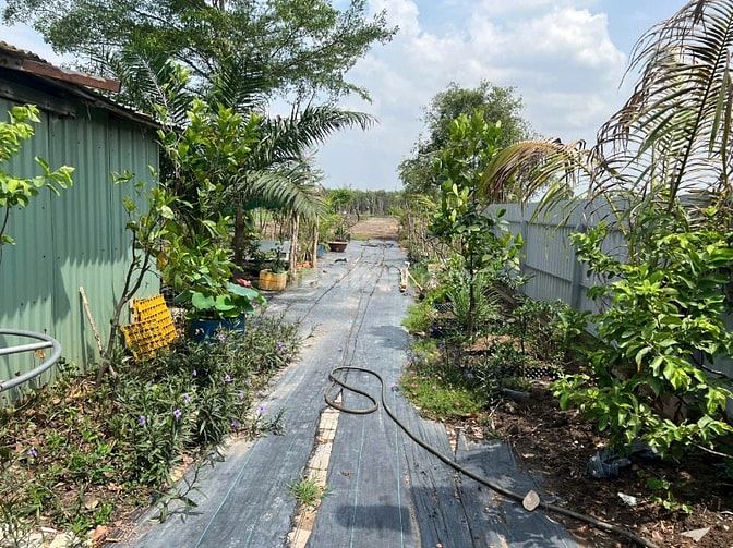 Bán đất vườn ngay KCN Lê Minh Xuân, Bình Chánh