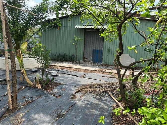 Bán đất vườn ngay KCN Lê Minh Xuân, Bình Chánh
