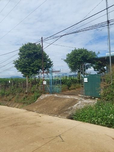 Bán nhà và đất thôn 3 lộc tan bảo lộc lam đồng 