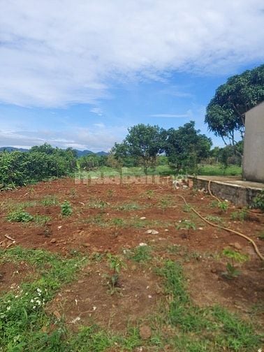 Bán nhà và đất thôn 3 lộc tan bảo lộc lam đồng 