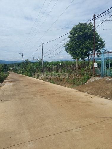 Bán nhà và đất thôn 3 lộc tan bảo lộc lam đồng 