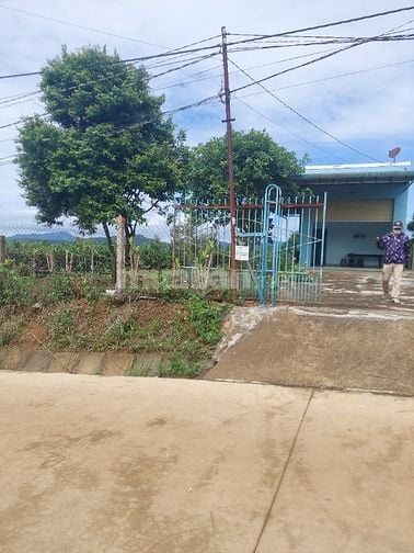 Bán nhà và đất thôn 3 lộc tan bảo lộc lam đồng 