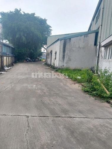 Bán nhà xưởng 8.208m2 tại Tân Vĩnh Hiệp, Tân Uyên, Bình Dương.