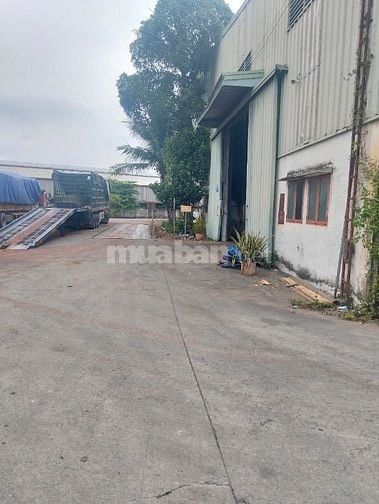 Bán nhà xưởng 8.208m2 tại Tân Vĩnh Hiệp, Tân Uyên, Bình Dương.