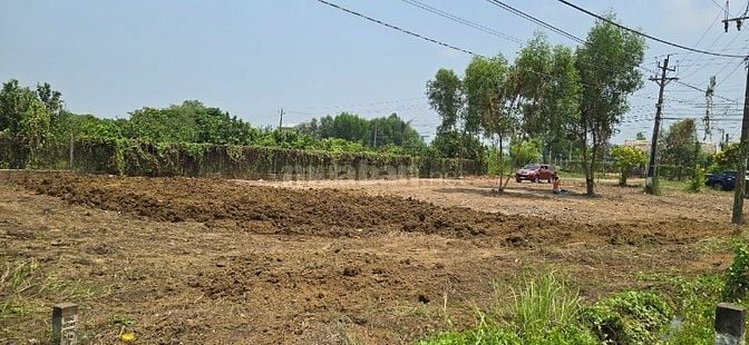Bán đất mặt tiền đường chính cù lao Bạch Đằng, xã Bạch Đằng, Tân Uyên,