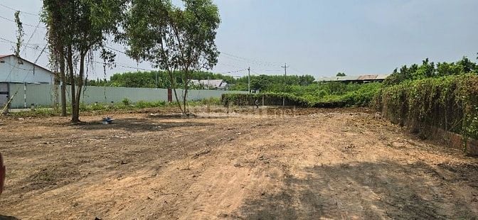 Bán đất mặt tiền đường chính cù lao Bạch Đằng, xã Bạch Đằng, Tân Uyên,