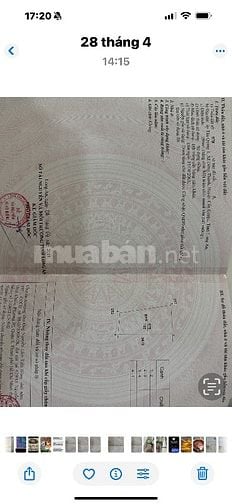 Cần bán đất Cần Giuộc, Long An 