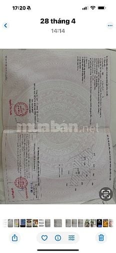 Cần bán đất Cần Giuộc, Long An 