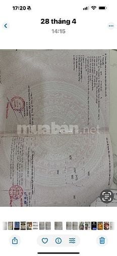 Cần bán đất Cần Giuộc, Long An 