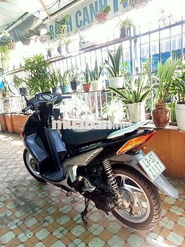 XE HONDA CLICK BIỂN 43