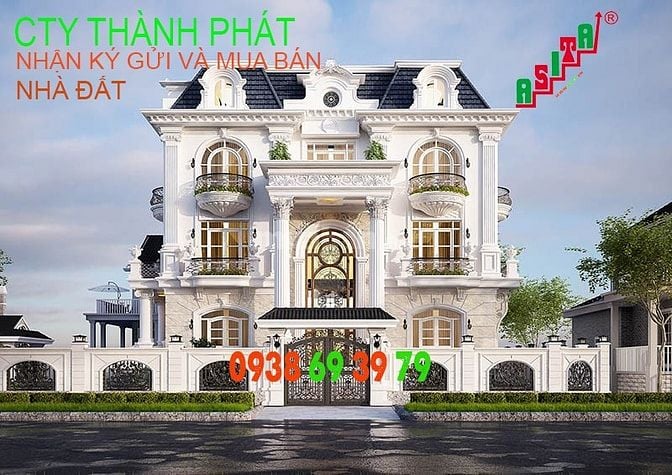 Bán biệt thự HIMLAM f Tân Hưng 20 x 20 1 hầm 4 lầu ,78 tỷ