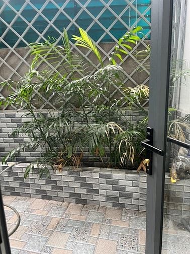 Bán Nhà Huỳnh Tấn Phát ,Quận 7 ,78m2 SHR, Giá 4.8 Tỷ(TL)