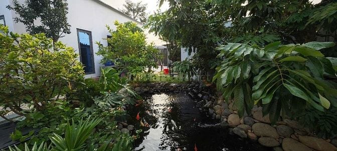 Chủ kẹt tiền cần bán nhà vườn đẹp như resort chỉ cách Tp.HCM 9km