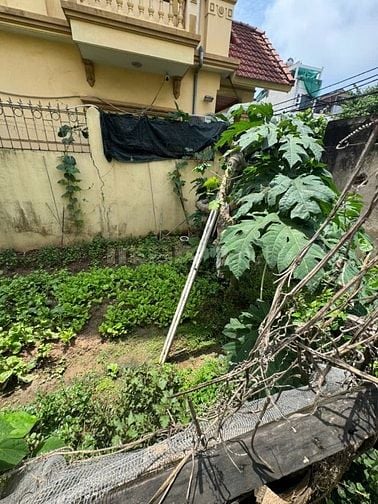 Chính Chủ Bán 90M2 Đất Số 20 Ngõ 126 Phố Nam Dư - Lĩnh Nam - Hoàng Mai