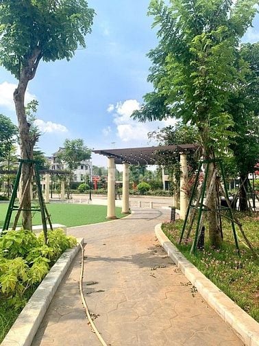 🏡 CHÍNH CHỦ BÁN ĐẤT THỔ CƯ – GẦN VINHOMES HẬU NGHĨA