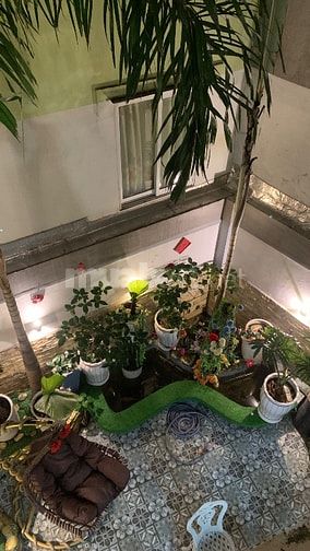 Nhà đẹp sang vô ở liền, có sân sau có hồ cá koi, hẻm xe hơi 