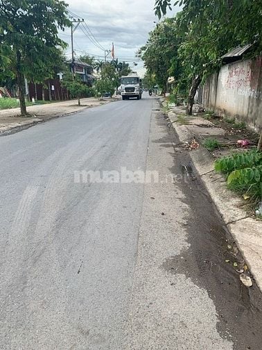 Cho thuê đất mặt tiền đường nhựa lớn 