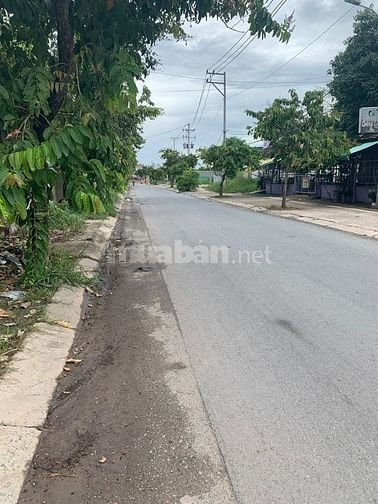 Cho thuê đất mặt tiền đường nhựa lớn 