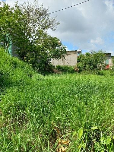Chỉ 1,5 tỷ có 500m2 đất vườn khu dân cư an toàn xã phú đông sổ riêng