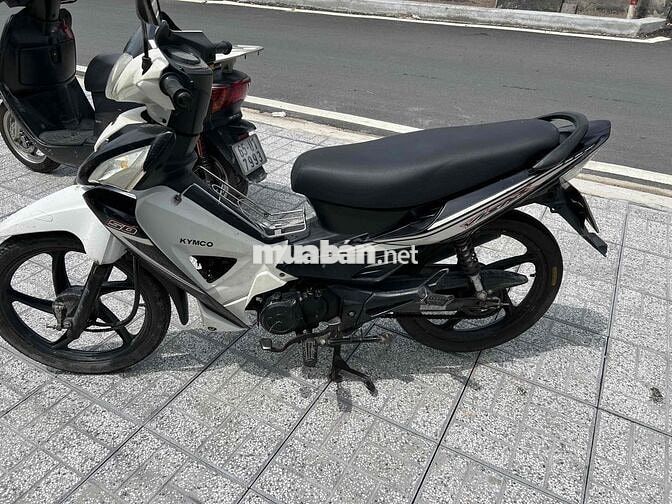 xe 50 máy êm ru bs64 ngây chủ