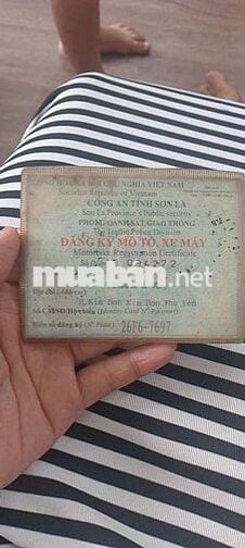 em it đi cần bán win indo 100