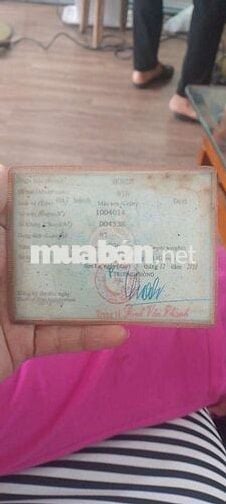 em it đi cần bán win indo 100