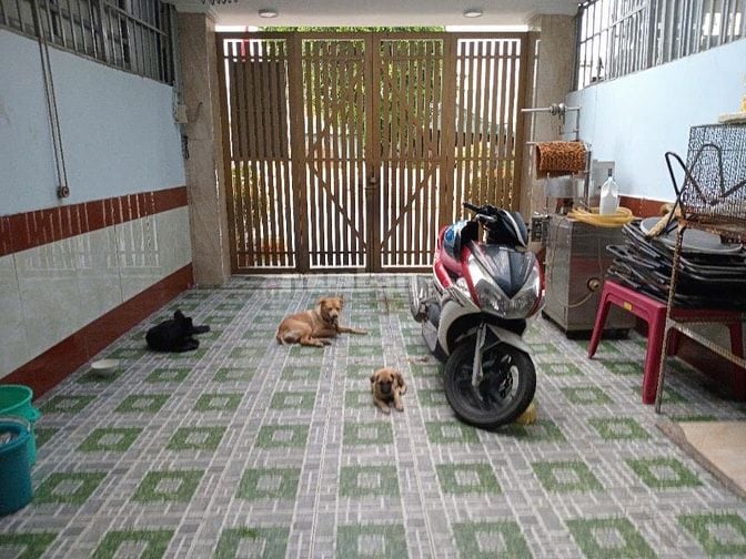 Nhà Mặt Tiền cần Bán Gấp Thích Hợp cho Khách Ở Mặt Tiền  Kinh Doanh