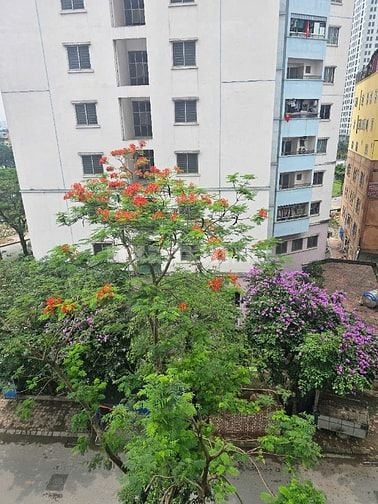 Bán căn hộ chung cư 62m ở Tòa OCT1 Bắc Linh Đàm