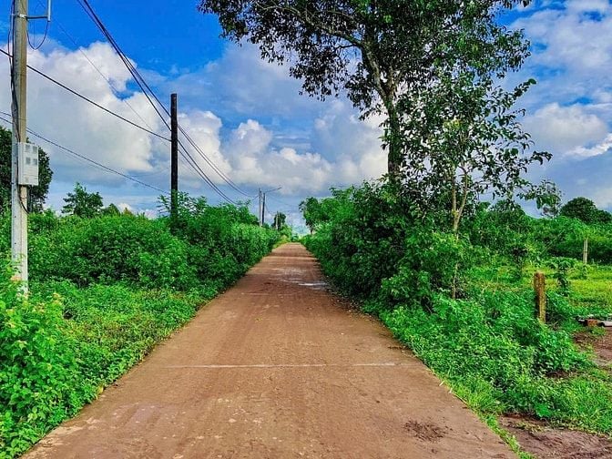 CẦN BÁN ĐẤT THỔ CƯ BIỂN HỒ PLEIKU