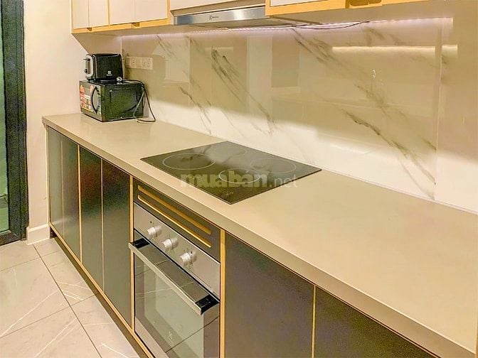 Cần bán Căn hộ The Zenity Quận 1 gồm 3 phòng ngủ diện tích 116m2