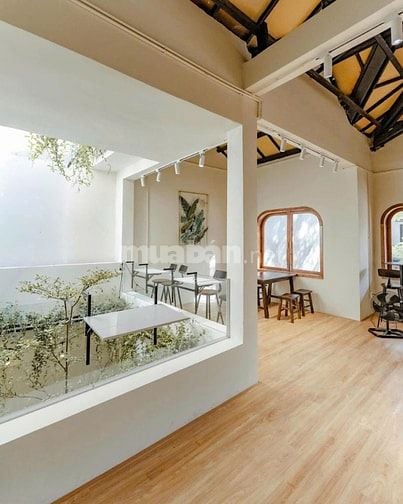 🌿 CHO THUÊ BIỆT THỰ CỔ SÂN VƯỜN HOÀNG VĂN THỤ MỞ QUÁN CÀ PHÊ