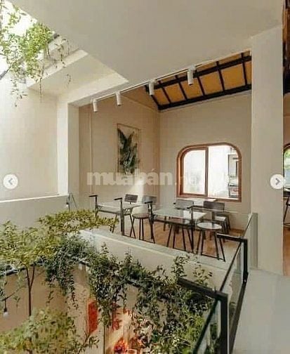 🌿 CHO THUÊ BIỆT THỰ CỔ SÂN VƯỜN HOÀNG VĂN THỤ MỞ QUÁN CÀ PHÊ
