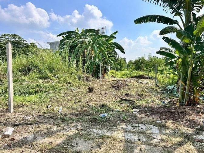 TIN THẬT CẦN BÁN LÔ ĐẤT Đ.TRẦN THỊ CẨM X.TÂN PHÚ TRUNG 120M2 GIÁ 600TR