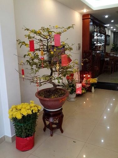 Bán nhà khu Hoàng Hoa Thám, Tân bình có 9 căn hộ cao cấp thu nhập 60tr
