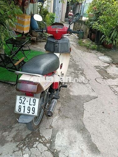 MAX NHẬT BSTP