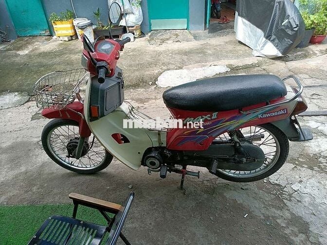 MAX NHẬT BSTP
