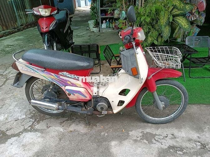 MAX NHẬT BSTP