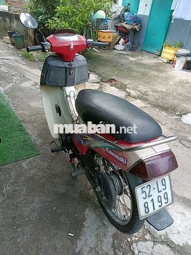 MAX NHẬT BSTP
