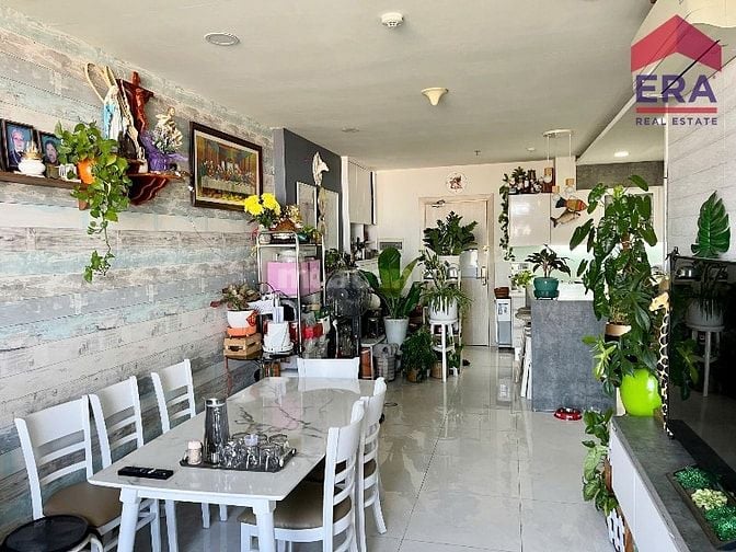109m2 Chạm bình yên giữa lòng phố thị, thức giấc bên sông, gió đông
