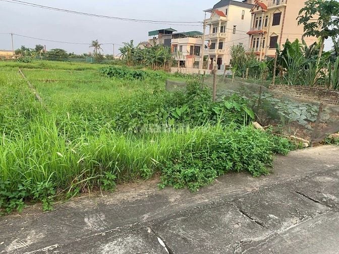 Chính chủ gửi bán 60,8m2 đất đấu giá thôn Làng Đồng, Nguyên Khê, Đông 