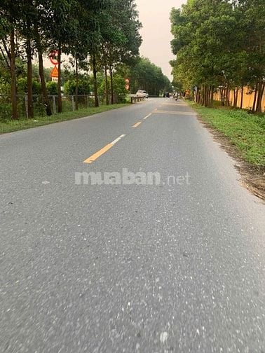 Chính chủ gửi bán 60,8m2 đất đấu giá thôn Làng Đồng, Nguyên Khê, Đông 