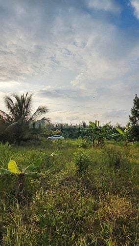 BÁN ĐẤT MẶT TIỀN QL.60 (MỚI) ĐỐI DIỆN QH.DỰ ÁN CỤM CÔNG NGHIỆP HÒA LỘC